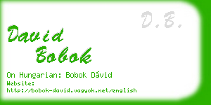 david bobok business card